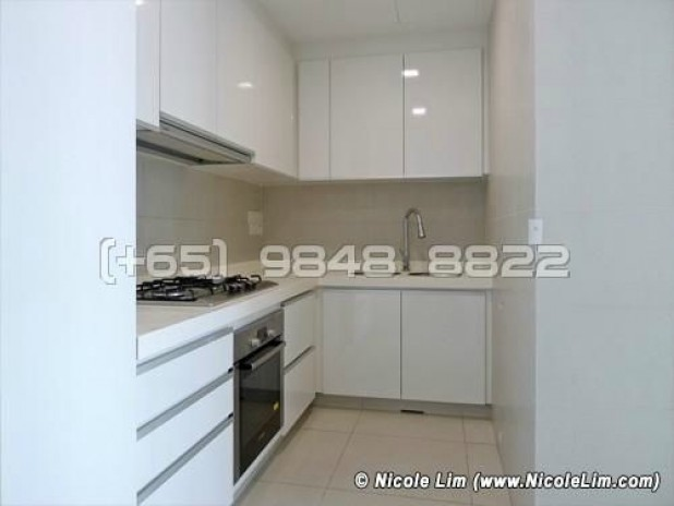 The Rochester Residences (D5), Apartment #45817332